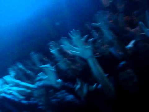 Maurizio Filisdeo Show @ Joia Club S.Antimo 7 novembre 2010