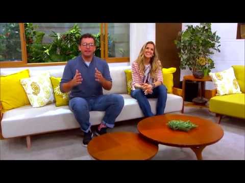 GAZETA NORTE 20 ANOS - BEM ESTAR