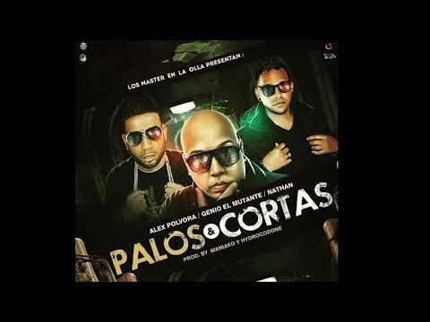 Alex Pólvora Ft. Genio El Mutante & Nathan El Dueño del Canto: Palos & Cortas