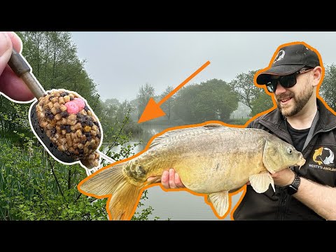 Method Feeder Margin Fishing