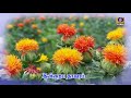 Promo Pon Vilaiyum Bhoomi 04 11 2020