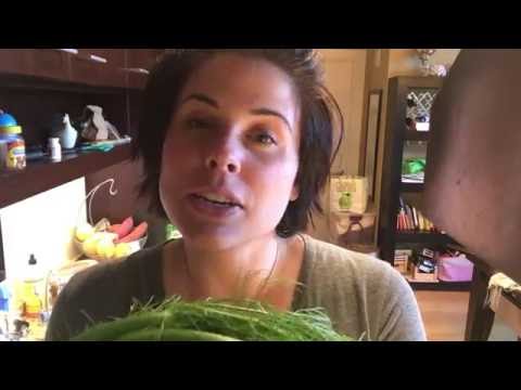 download lagu mp3 mp4 Fennel Fronds, download lagu Fennel Fronds gratis, unduh video klip Fennel Fronds