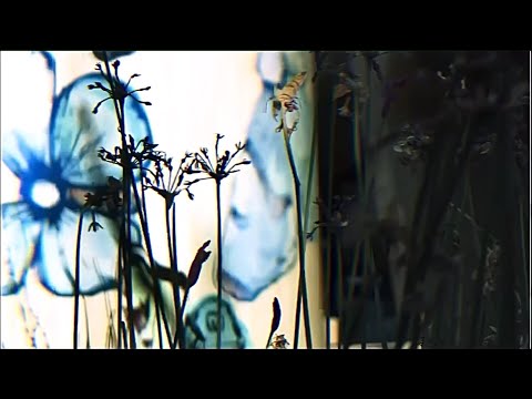 Video thumbnail RsdNEaB2Gc8