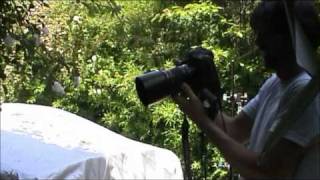 Rachel Fuller - Spin