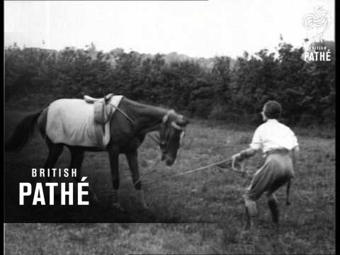 That Trouser Complex (1931)