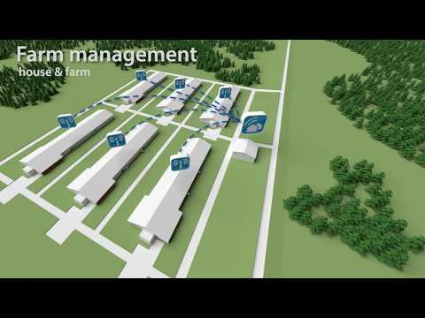 Combi-Tunnel Ventilation for Poultry