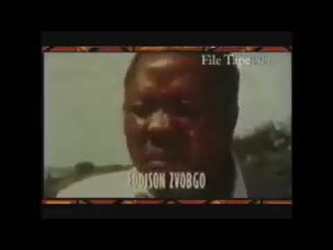 Edson Zvobgo did not like intimidation of majority by politicians