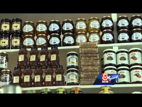 Harvard Square staple Cardullo's being sold