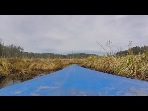 Cranberry Pond, Sunderland MA
