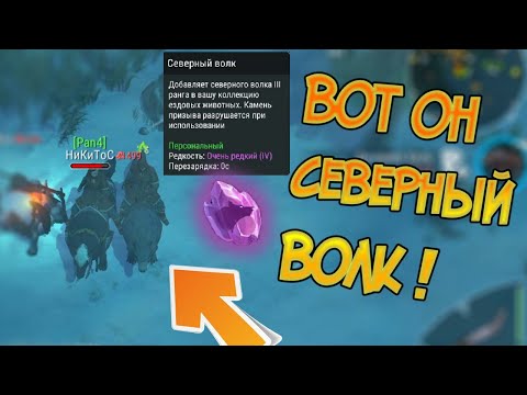 Северный волк и фарм севера на 1 навыке ! Frostborn: Action RPG