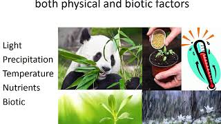 Primary and Secondary Productivity