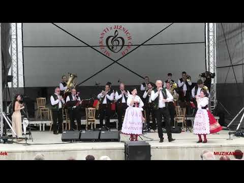 MUZIKANTI z JIŽNÍCH ČECH hráli v Kyjově na koncertu 70.let kapely Žadovjáci (Official Video)