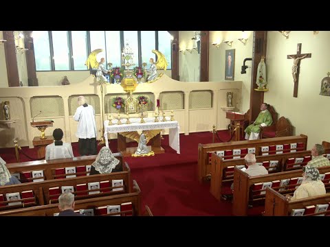 Daily Readings and Homily - 2025-09-10 - Fr. Mitch