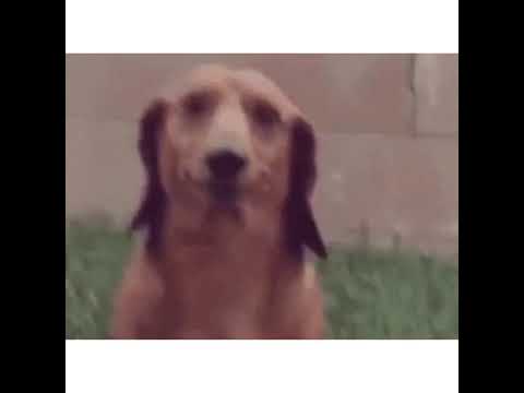 [FREE] Makko x BHZ x Lugatti & 9ine Type Beat