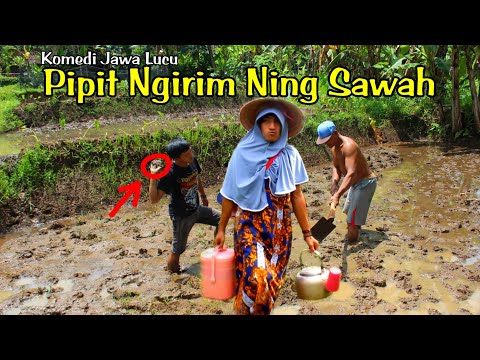 komedi-jawa-lucu-pipit-ngirim-ning-sawah-banjaran-channel