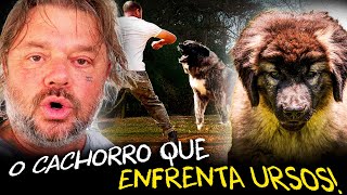Miniatura do vídeo