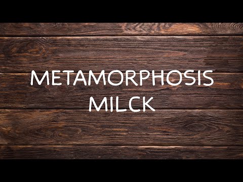 MILCK - Metamorphosis (Lyric Video)