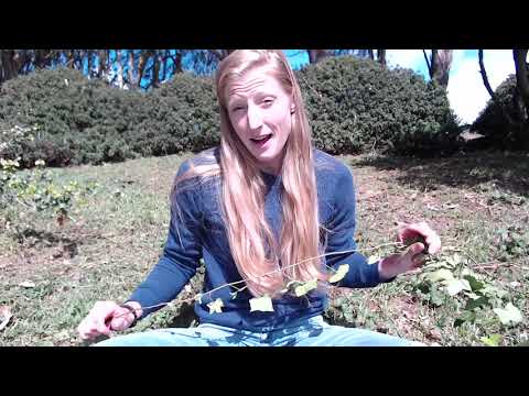 Ivy Crown (Fine Motor)