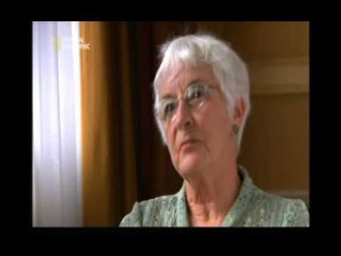 Sturzflug aus den Wolken (1. Teil)