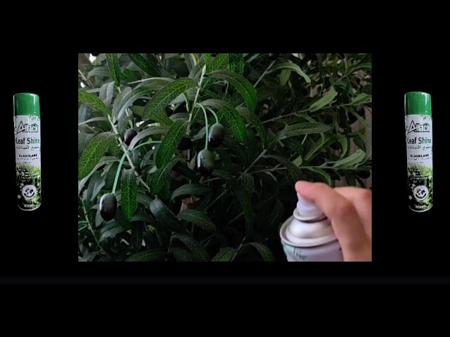 ملمع النباتات الطبيعية و الصناعية الداخلية 650 ميل...