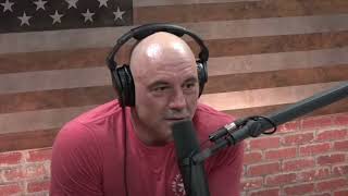 Joe Rogan on the futa debate | AI Voice