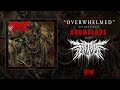 FATHOM ANOMALOUS OFFICIAL ALBUM STREAM 2025 SW EXCLUSIVE