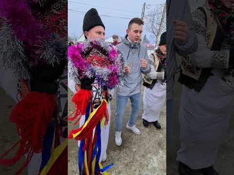 Căiuții din Borosoaia !