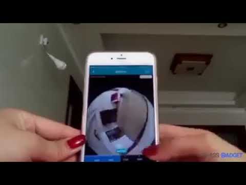 WhatsApp Video 2020 07 18 at 4 07 21 PM