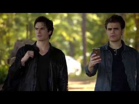 Stefan & Caroline - 6x08 #3 (Even the bear knew)