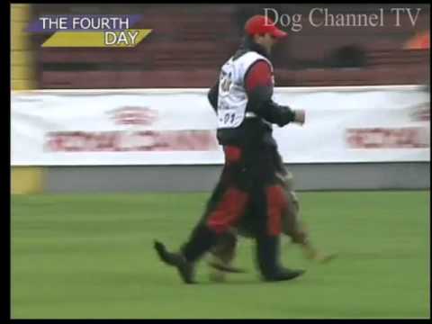 Yucci Vikar - MS WUSV 2011 Kyjev - B: 96