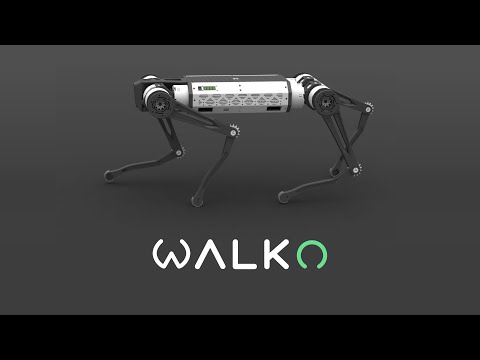 Vidéo YouTube - RsjaroO29vE