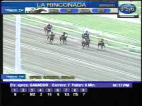 Resumen Martes, 05 de Julio de 2011 - La Rinconada