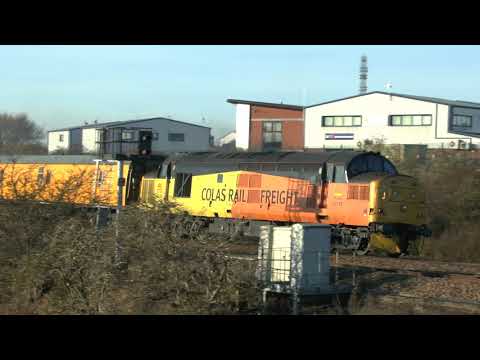 37175 37254 Wilmoreton 18 12 17