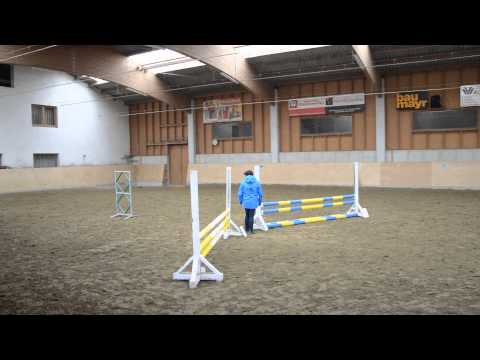 Tinker Sultan Springturnier Waldzell 2013