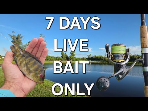I Fished Live Bait Only For One Week