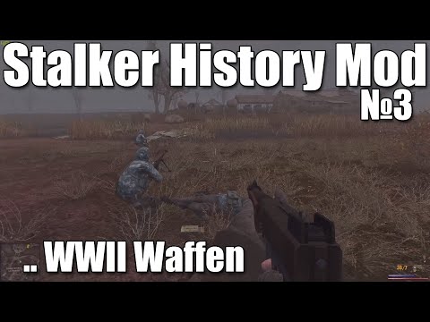 History Mod №3 Stg.44 & M1 Carbine, Stalker Clear Sky