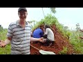 Clip Uganda Stingless bee