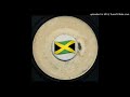 Unknown Reggae Instrumental