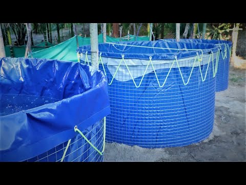 How to Construct a Simple Biofloc Fish Tank at Home. |DIY|