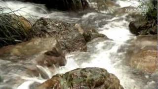 New Caledonia Japonese Waterfalls