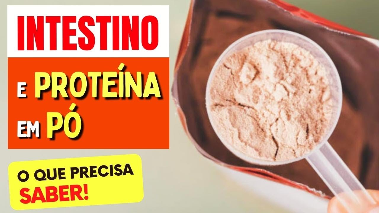 INTESTINO e PROTEÍNA EM PÓ (Whey, Albumina,...) - O que você PRECISA SABER!
