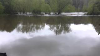 preview picture of video 'Sprotbrough falls flooded 27.04.12'