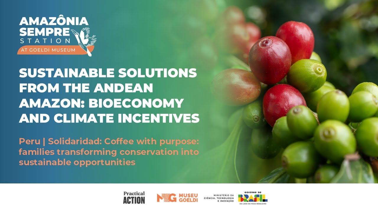 Peru | Solidaridad: Coffee with purpose