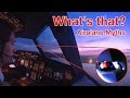 CORRECT COCKPIT SEAT POSITION! Eye-Position-Indicator explained by "CAPTAIN" Joe CORRECT COCKPIT SEAT POSITION! Eye-Position-Indicator explained by "CAPTAIN" Joe