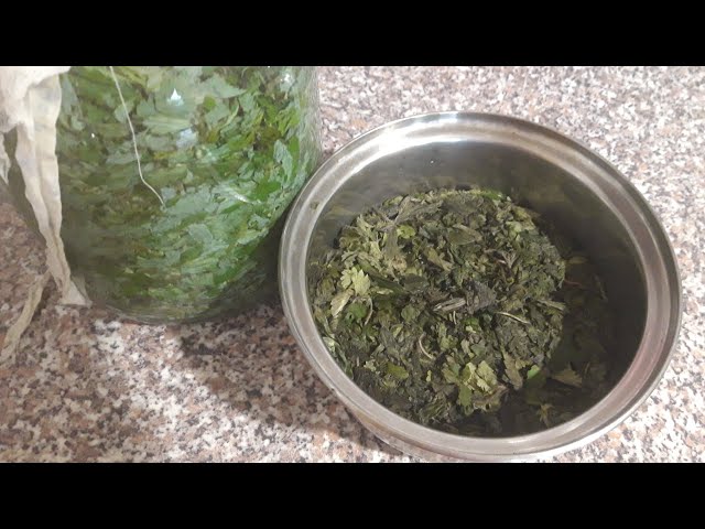 Youtube Video Youtube Video