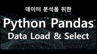 [데이터분석] 분식이의 Python Pandas 실무 데이터 분석 2탄 (데이터 불러오기 / 데이터 요약 확인, 결측치, missing data 확인 / 컬럼데이터 추출)