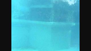 Pan•American - Het Volk