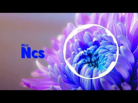 d.higgs - Shut-It-Down-feat.-Alan-Avry (Hip Hop)