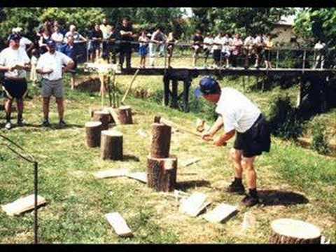 Nema vatre od sirovih drva