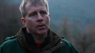 Ancient Woodland Restoration at Fingle Woods | Woodland Trust